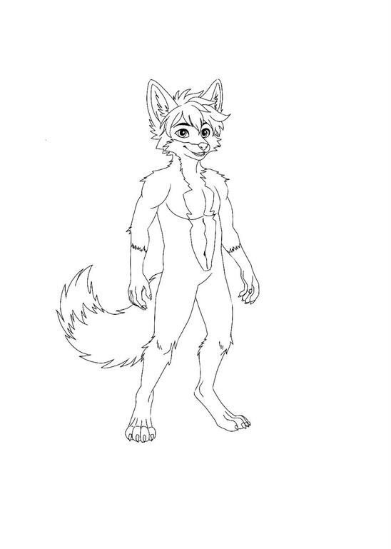 line art fox species 🦊