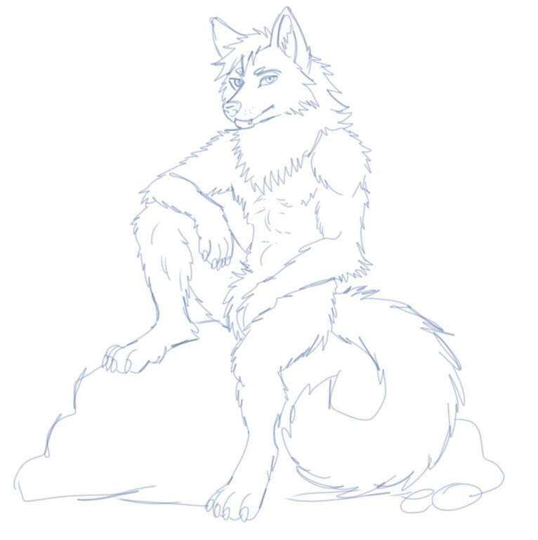 sketch custom wolf